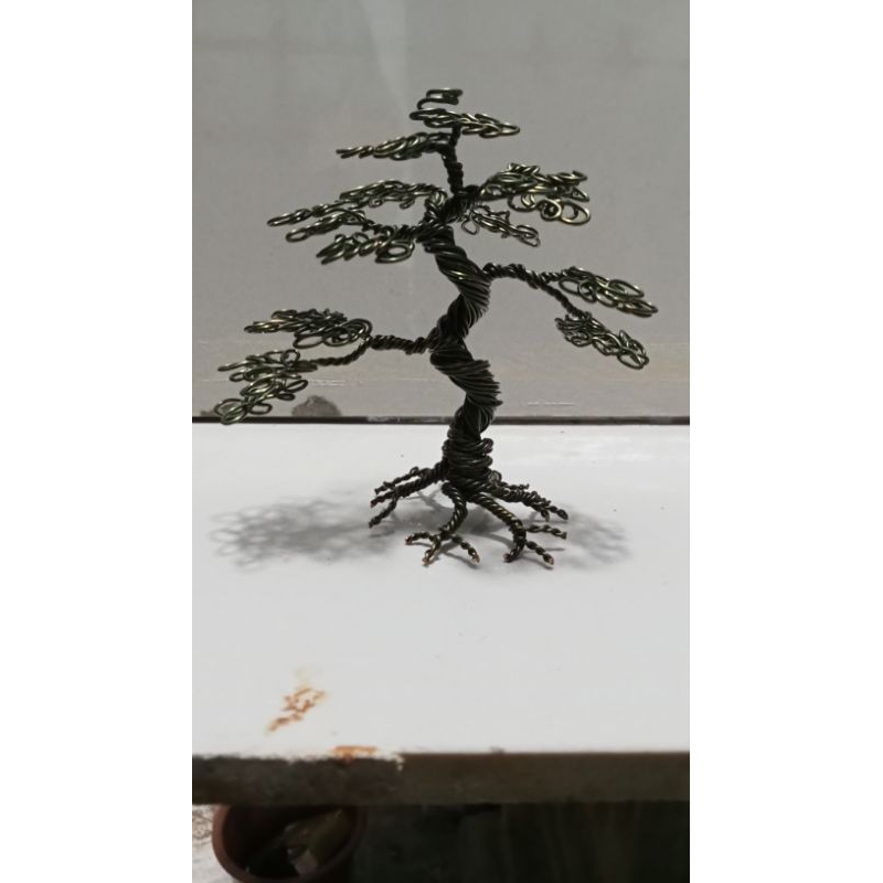 bonsai miniatur