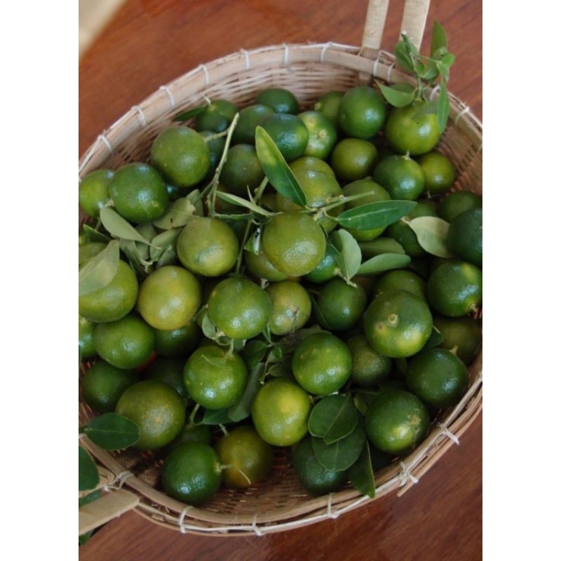 

Fresh Jeruk Peras Minuman Segar berat 1 kg