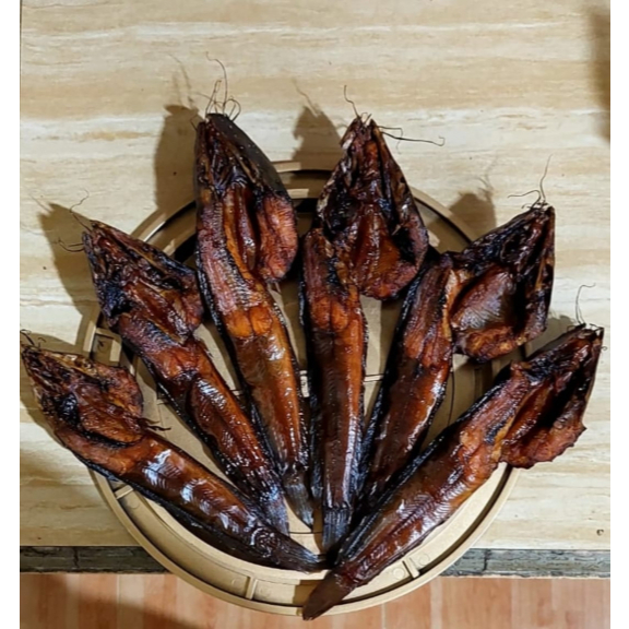 

1 EKOR IKAN LELE ASAP HIGIENIS (حَلَالًا طَيِّبًا)