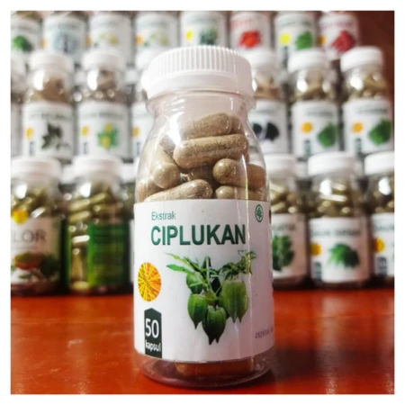 obat stroke saraf kejepit paling ampuh epilepsi penurun kolesterol ciplukan isi 50 kapsul