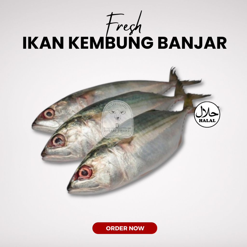 

Ikan Kembung Banjar Frozen Fresh Halal 1kg