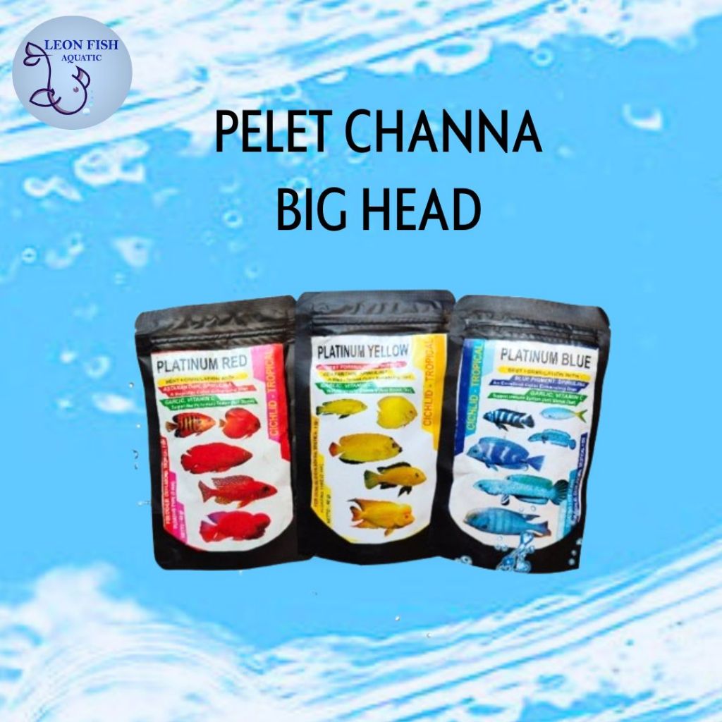 PELET CHANNA BIG HEAD PLATINUM RED YELLOW BLUE-PELET IKAN HIAS AKUARIUM ECER GROSIR  AQUASCAPE