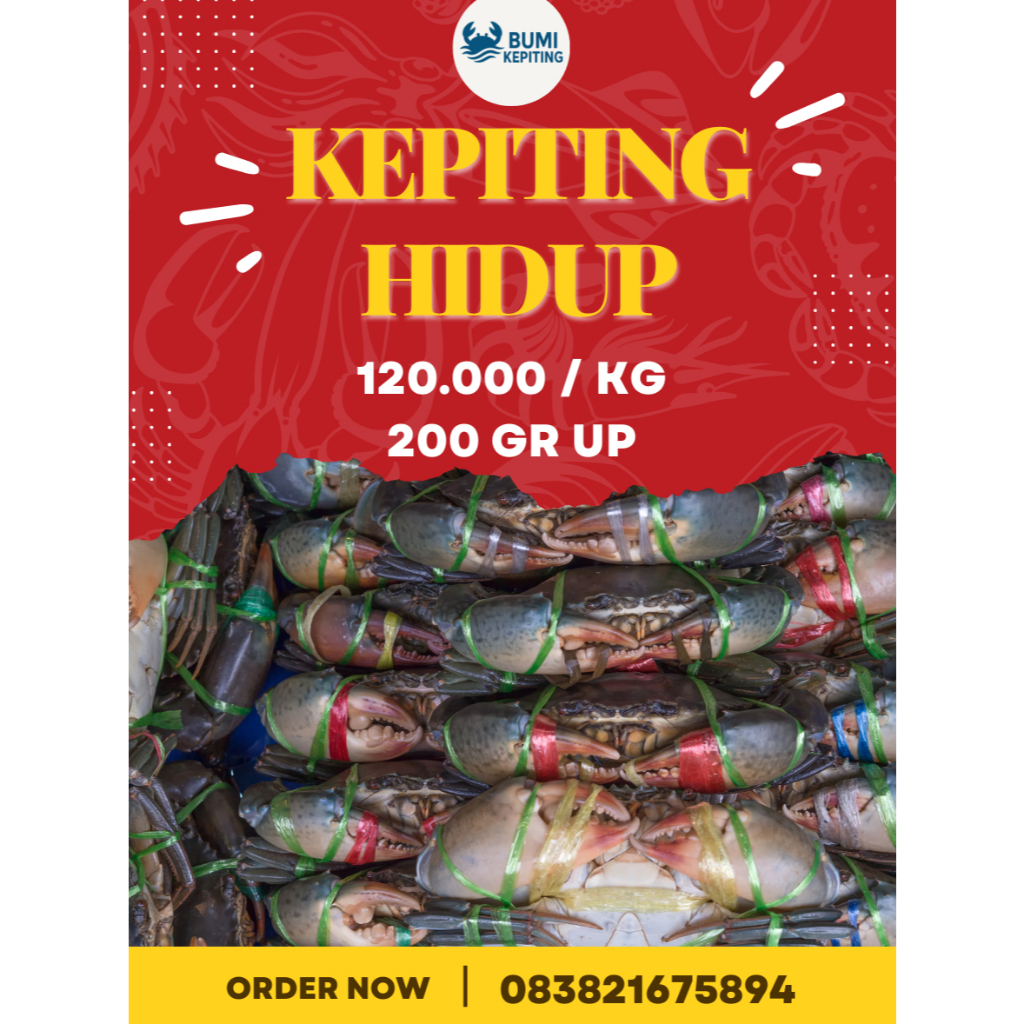 

Kepiting Bakau Hidup Segar / Jual Kepiting Bakau Hidup / Kepiting Hidup Segar / kepiting 1 kg isi 3-4