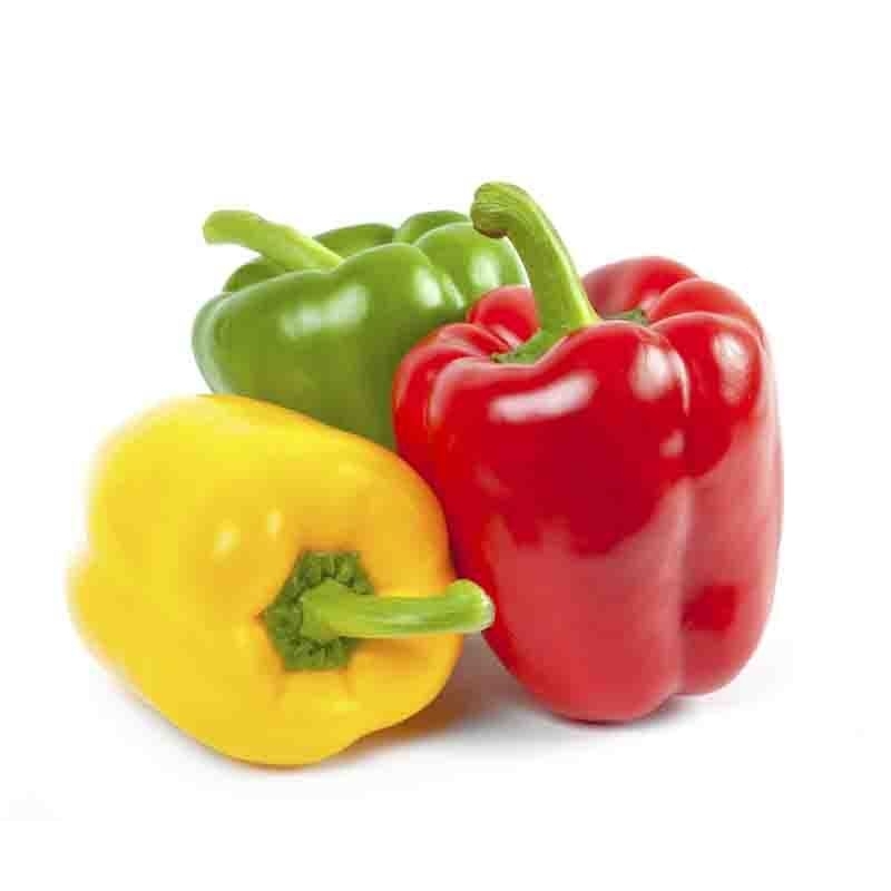 

JYOTI MIX PAPRIKA 500 GR