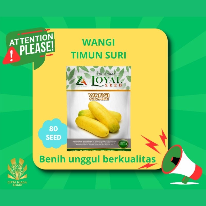 Benih Timun Suri WANGI, 80 Seed