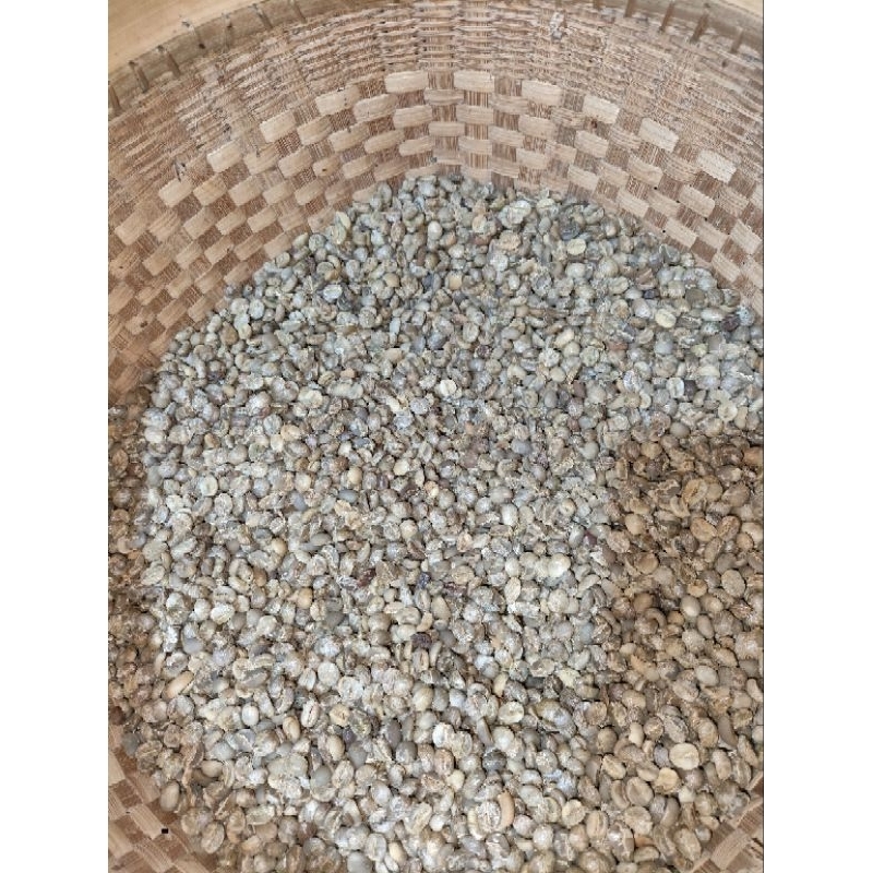 

biji kopi arabika 1kg