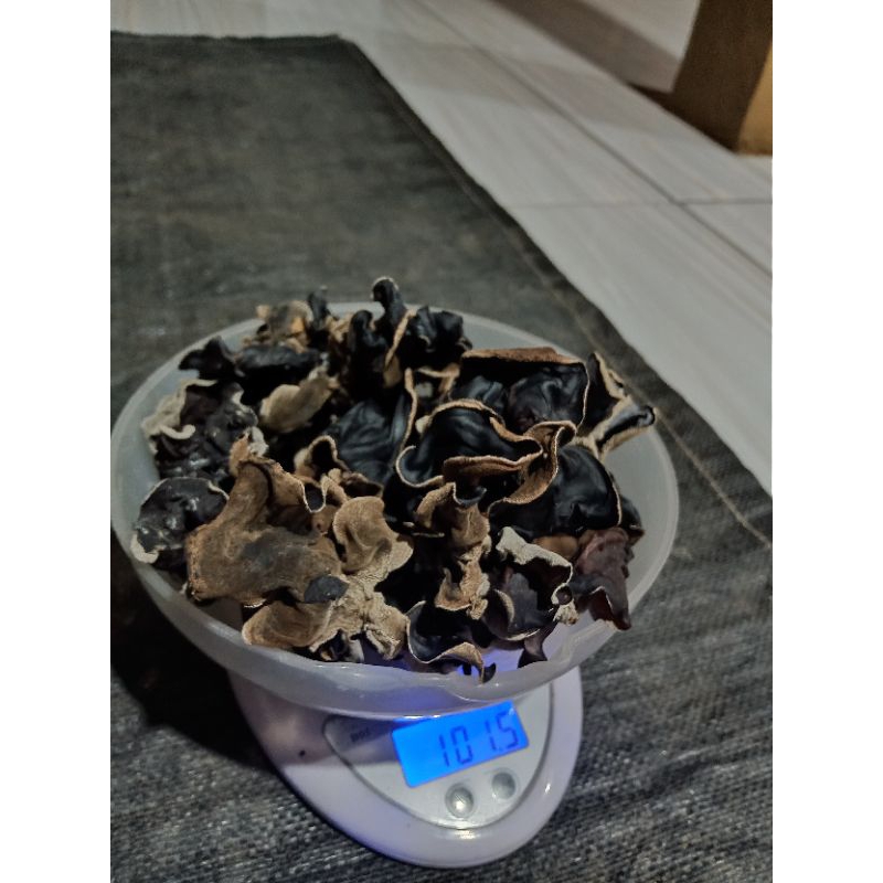 

✅MURAH JAMUR KUPING KERING 100Gr