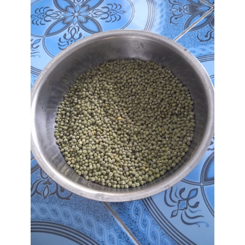 Kacang Ijo bubur,kacang hijau kupas,Kacang hijau,Kacang hijau besar,kacang hijau panen sendiri,kacan