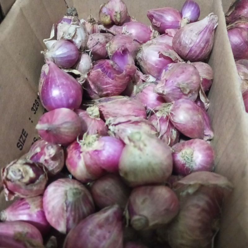 

Bawang merah harga per kg