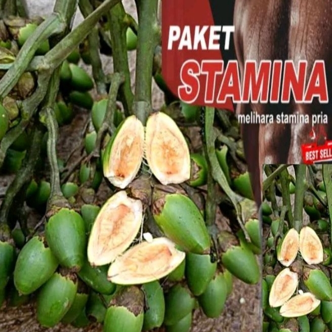 

pinang muda/buah pinang muda/jambe per 1 kg penambah stamina
