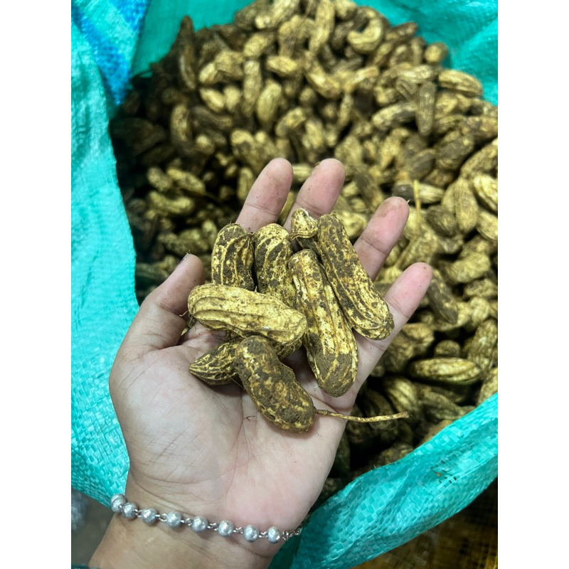 

KACANG TANAH 1 KG
