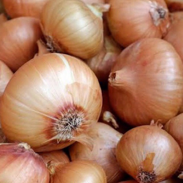 

bawang bombay 500gr isi random 3/4