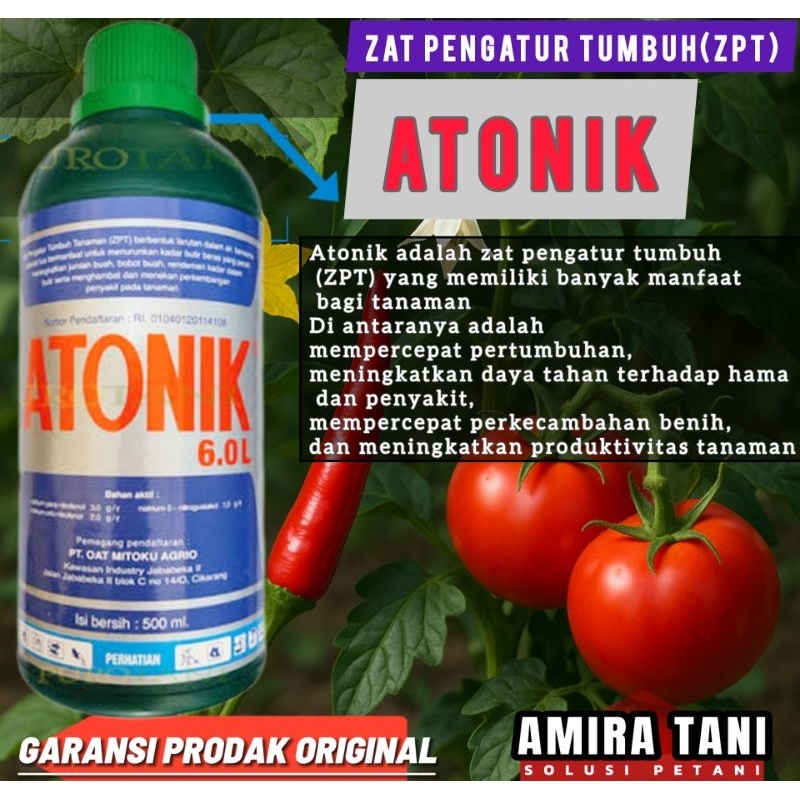 Atonik zat pengatur tumbuh tanaman(ZPT)