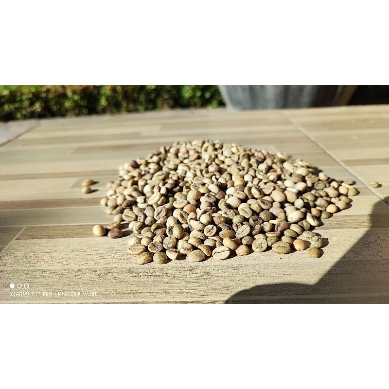 

Kopi Robusta Lama (500gr)