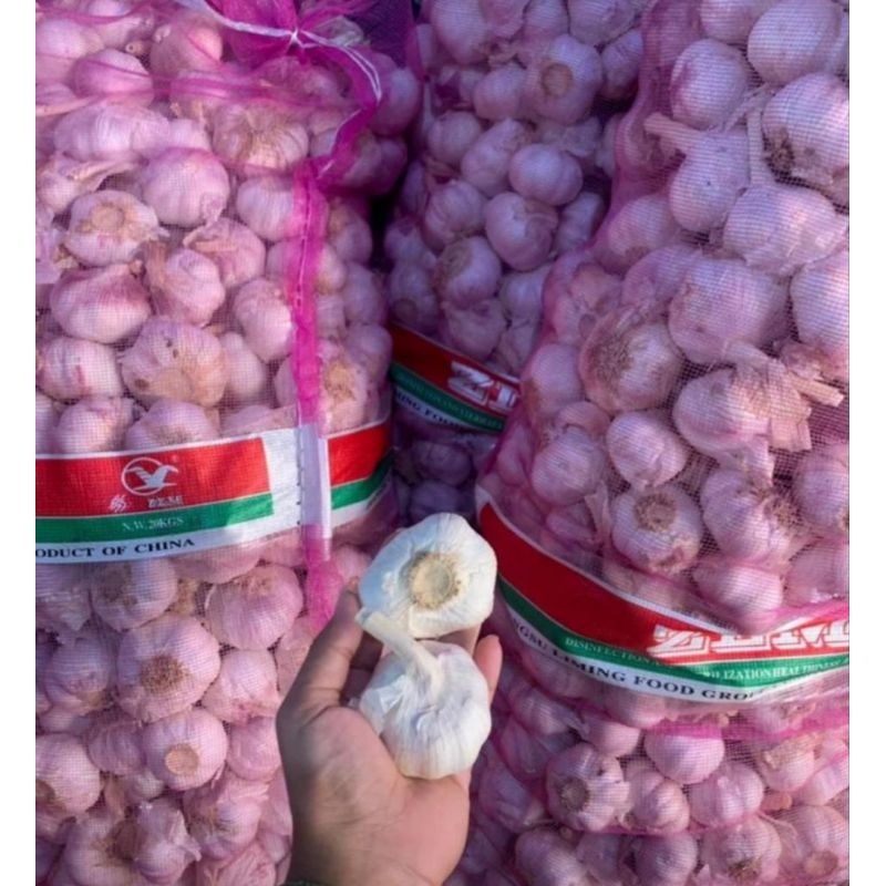 

bawang putih sinco murah