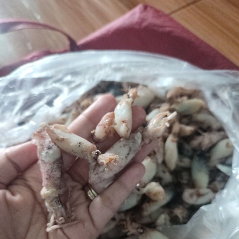 

CUMI ASIN / IKAN ASIN CUMI 1kg