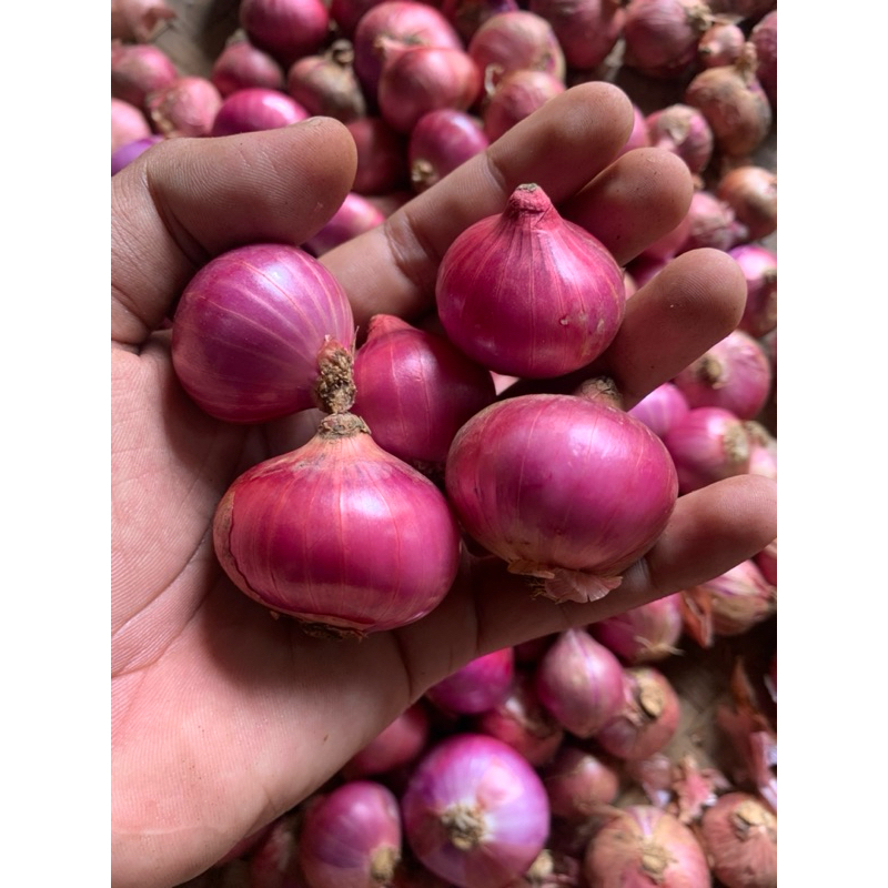 

Bawang merah local kualitas super premium ukuran besar