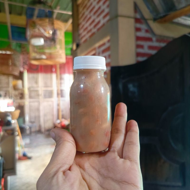 PAKAN/UMPAN MANCING IKAN BAWAL KACANG PERMENTASI PRESTO