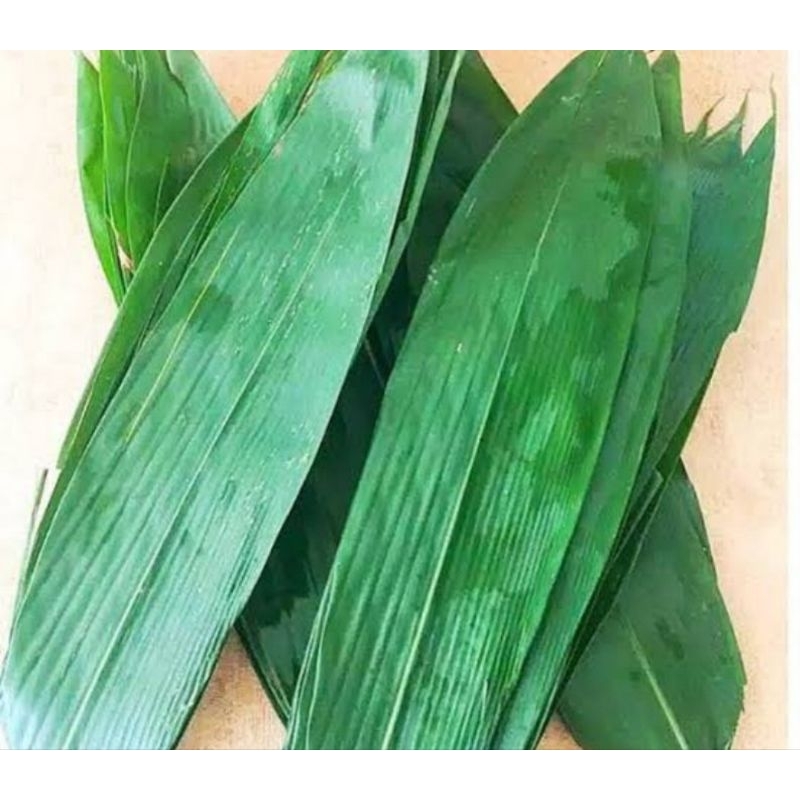 

Daun bambu fresh daun lebar per ikat isi 100-az