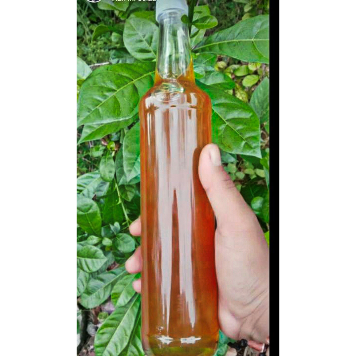 

Madu Kelengkeng (Longan). Enak Dan Aman Untuk Segala Usia