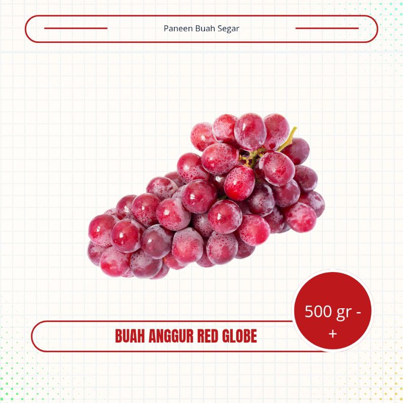 

Anggur Red Globe Manis 500 Gr