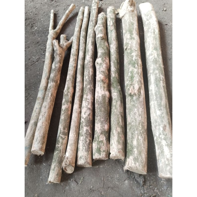 Batang kayu berkulit panjang 1 meter