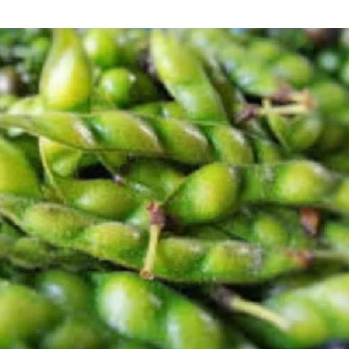

kacng hiris segar press 200 grm