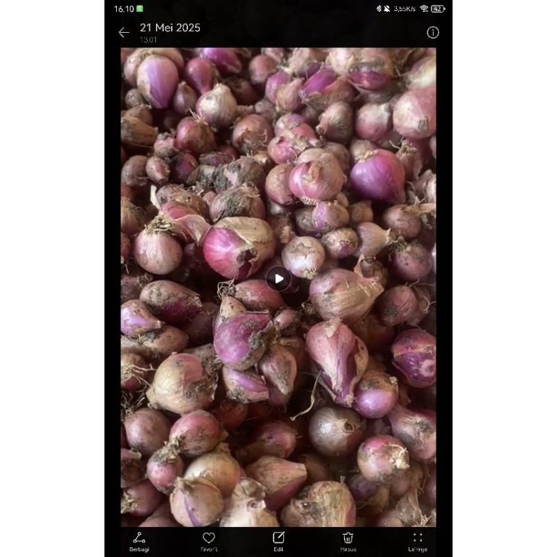 

Bawang Merah 1Kg