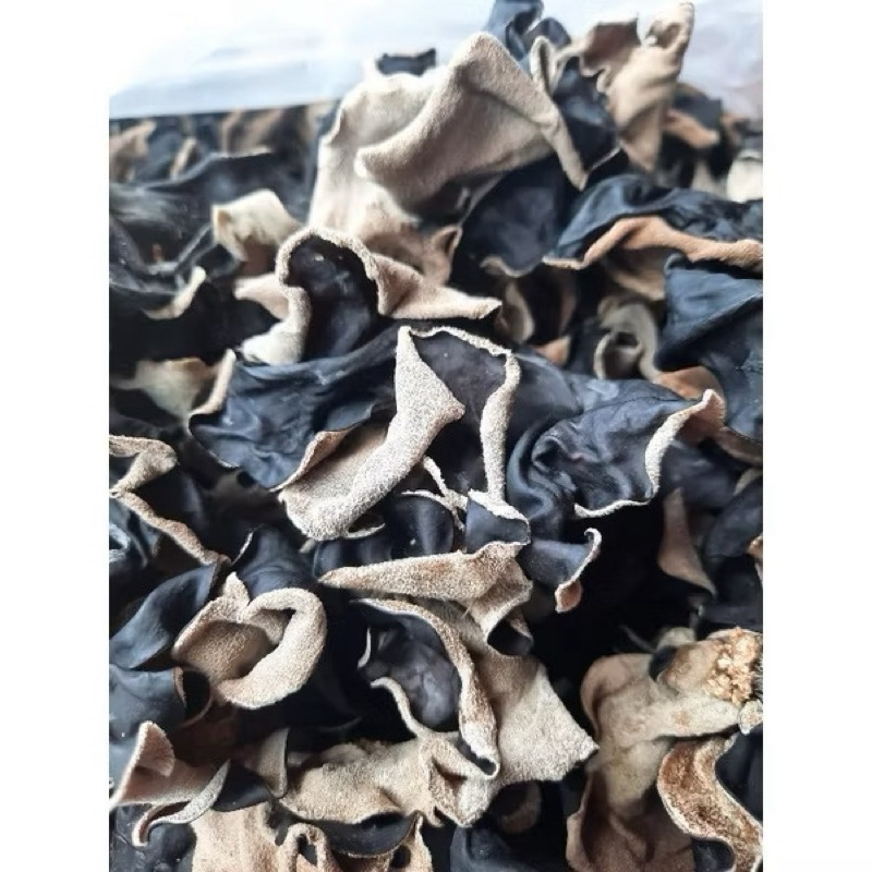 

JAMUR KUPING KERING SUPER NETTO 1 KG