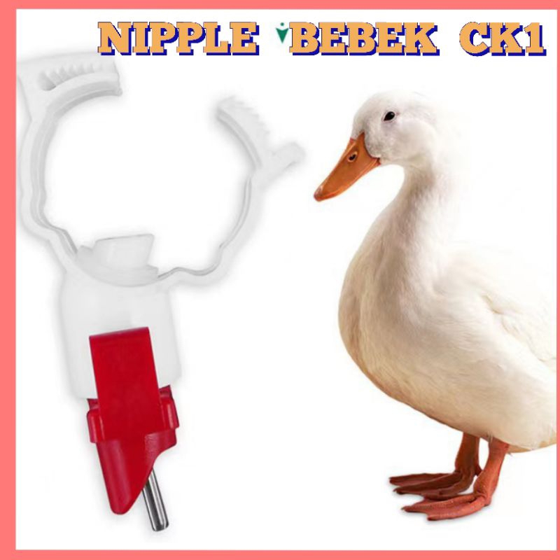 Nipple Nipel Bebek CK1 Alat Minum Bebek Entok