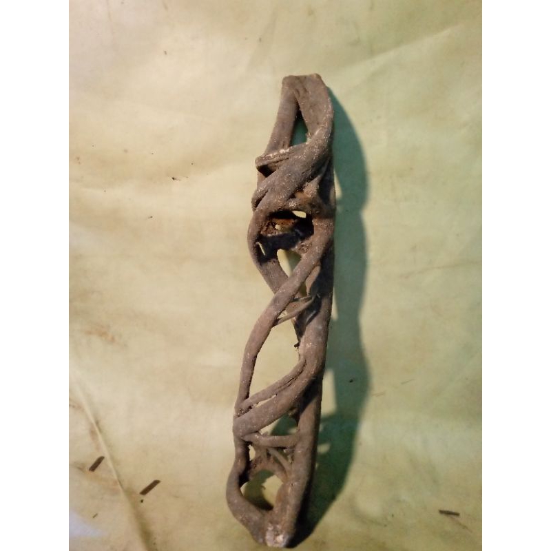 akar mimang asli alami unik