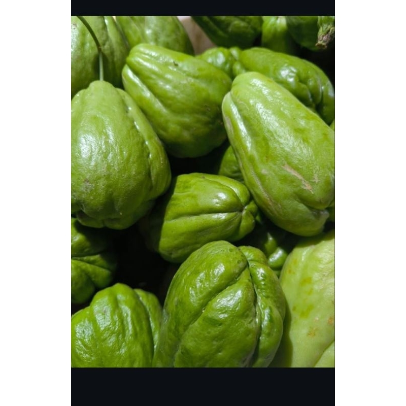 

labu siam/jipang sayur/komsumsi fress 1kg