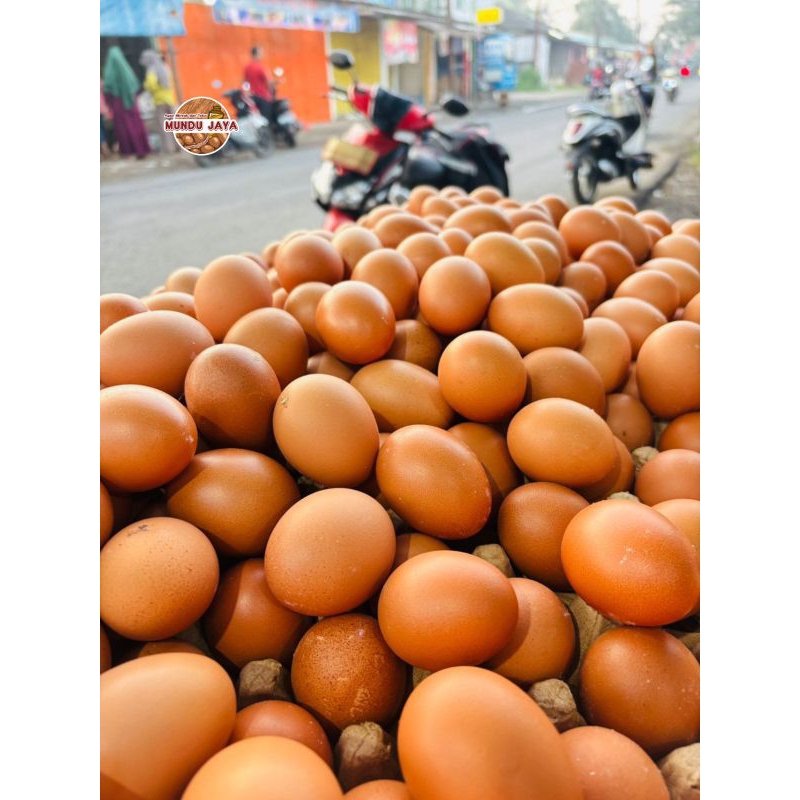 

telur ayam negeri per iket - isi 15kg
