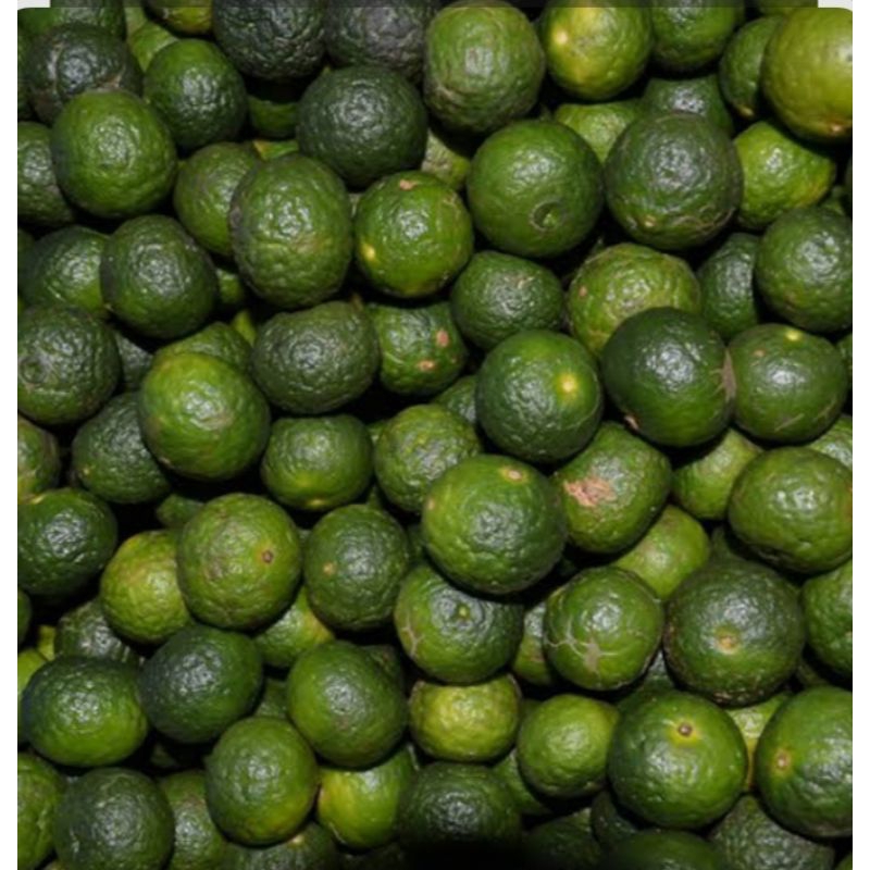 

jeruk limo jeruk baso aci ukuran kecil 1kg fresh dipetik langsung dari petani