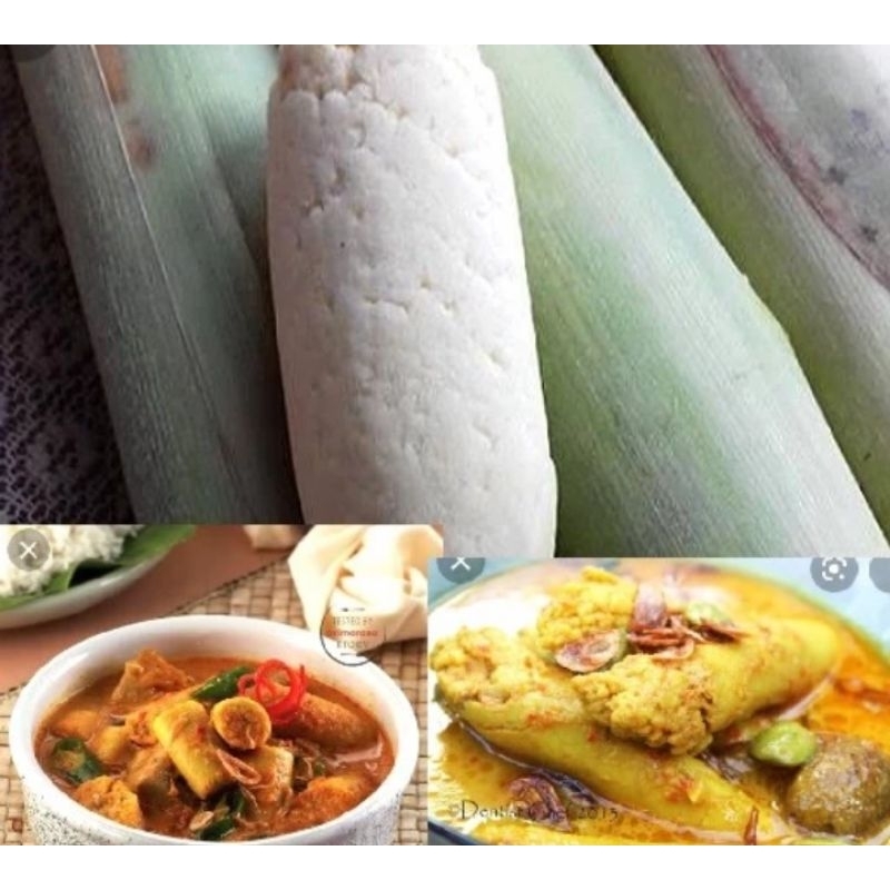 

TERUBUS SAYUR TERUBUS ENDOK MASAK SIAP MASAK 1KG