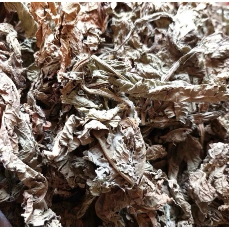 

Daun Tapak Liman Kering Herbal Alami mencegah Penyakit Kronis