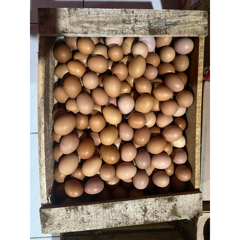 

Telur Ayam