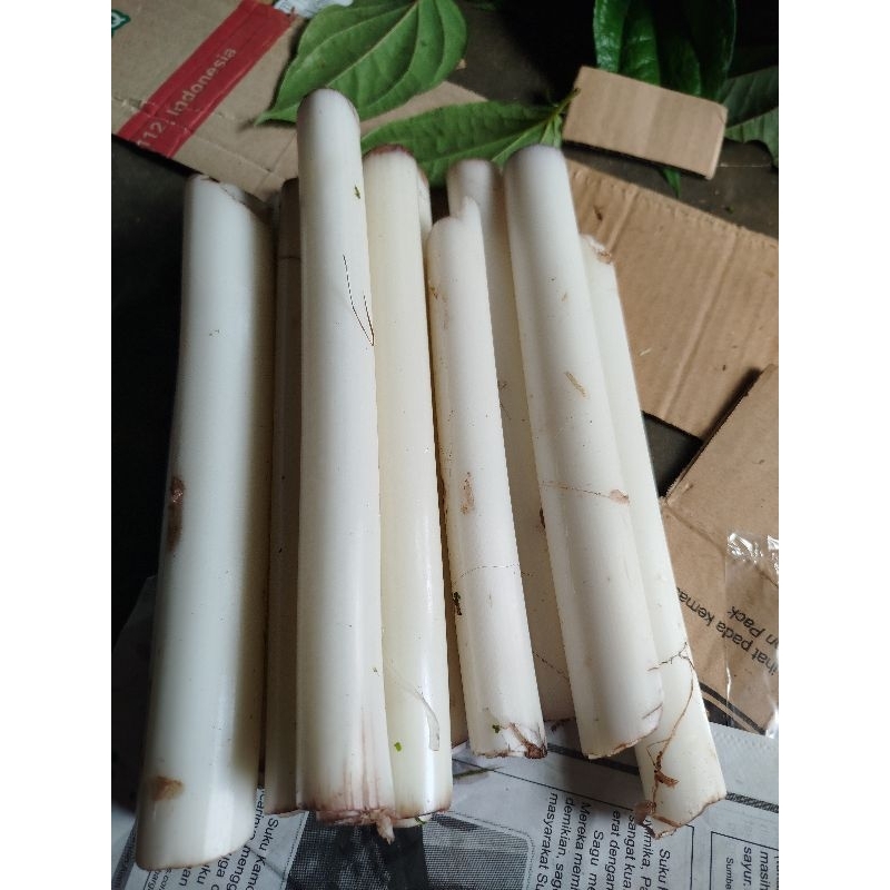 

Gedebong pisang umbut pisang segar 1kg