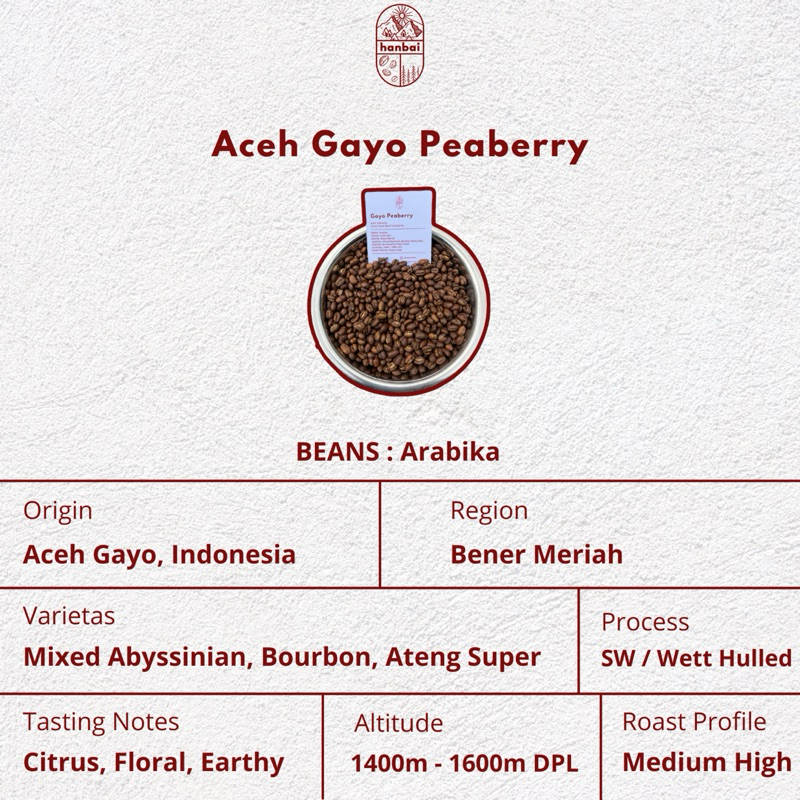 

Biji Kopi Arabika Aceh Gayo Peaberry (500gr & 1kg)