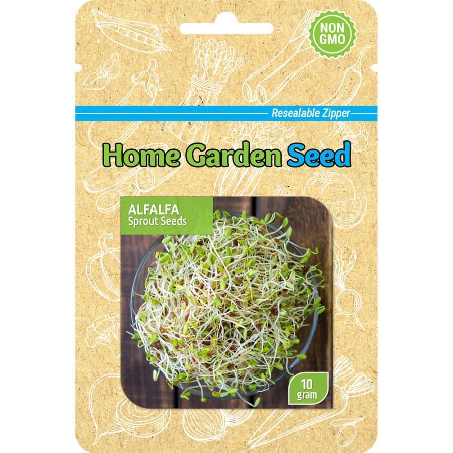 Benih HGS - Alfalfa Sprout