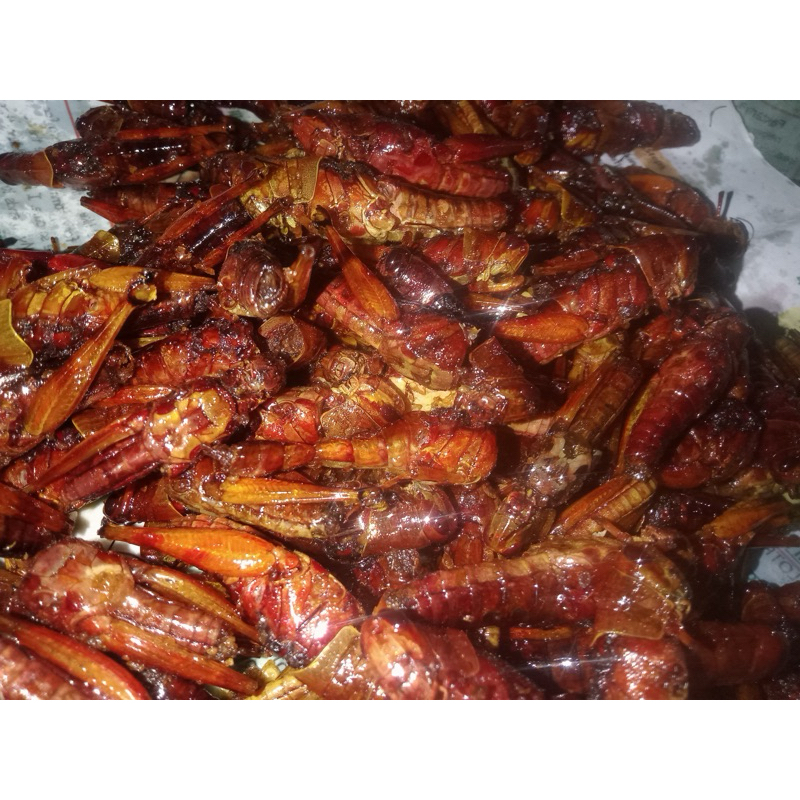 

BELALANG GORENG KRIUK PEDAS ASIN