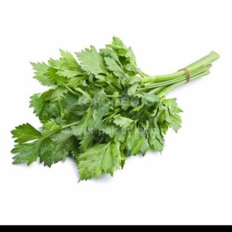 

JYOTI SELEDRI LOKAL 250 GR