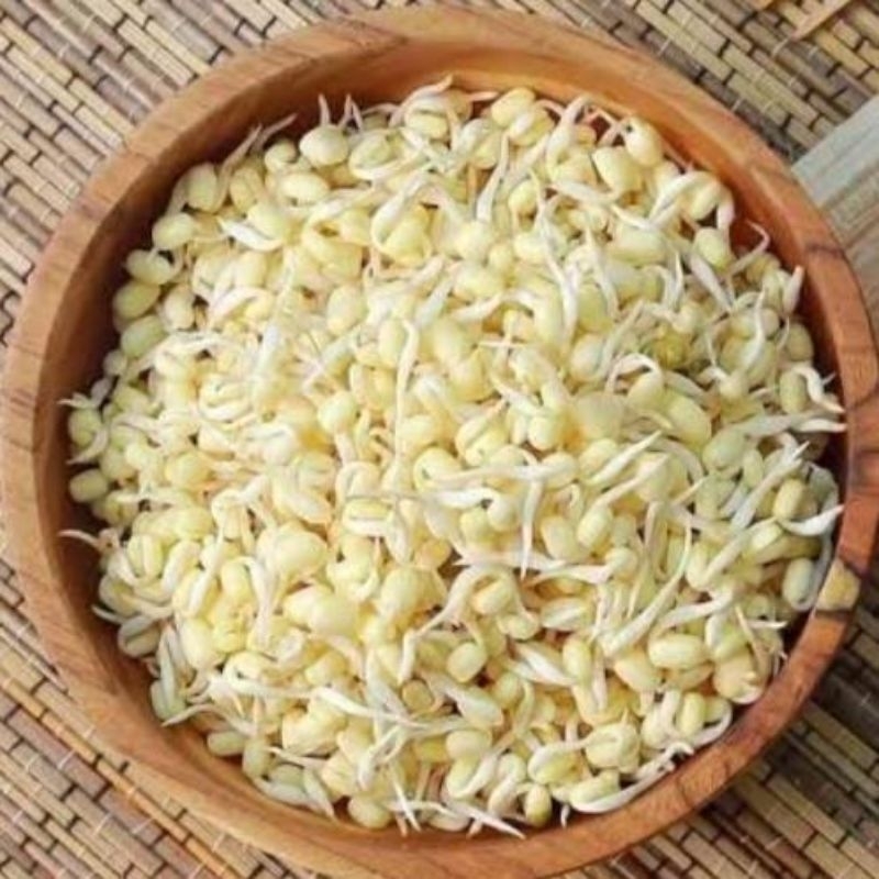 

JYOTI TAUGE PENDEK 250 GR