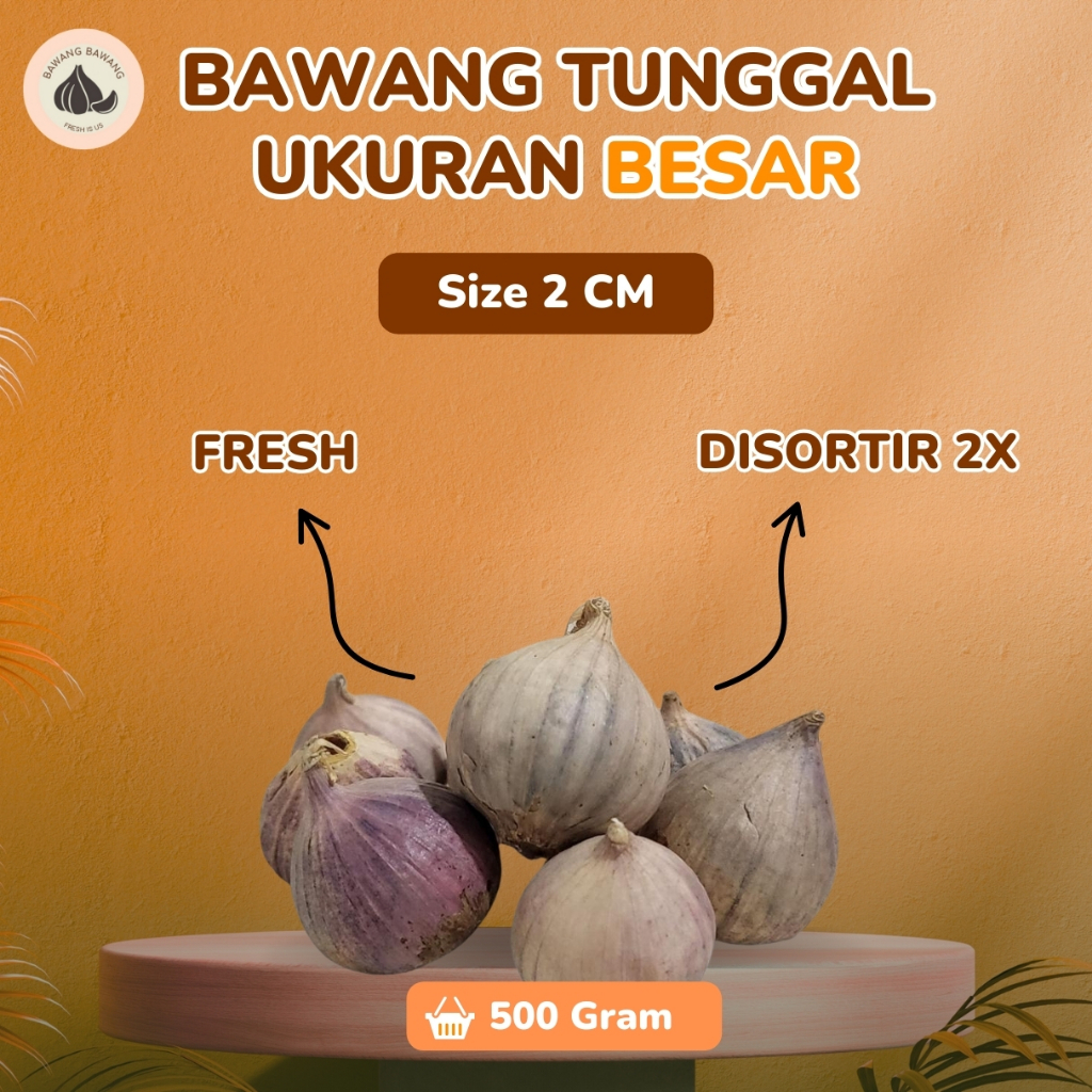 

RB Bawang Putih Tunggal Lanang Besar 500gr Ukuran 2 Cm