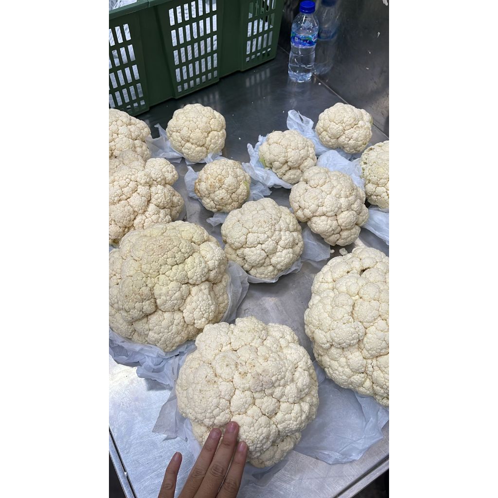 

Sayur Kembang Kol / Cauly Flower 1 Dus (11.5 KG) Fresh Import
