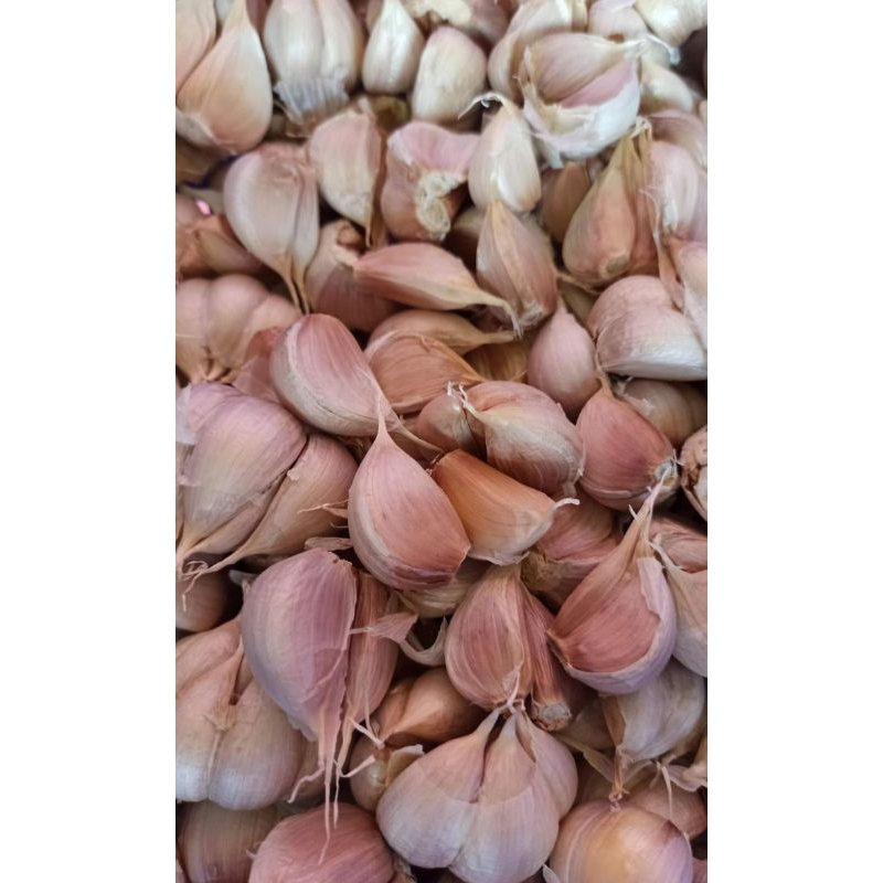 

bawang putih