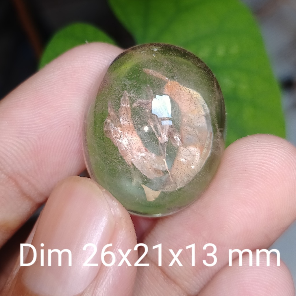 BATU KECUBUNG KARANG ANTIK NATURAL koleksi lainnya cincin kalimaya Wulung giok opal new akik bacan d