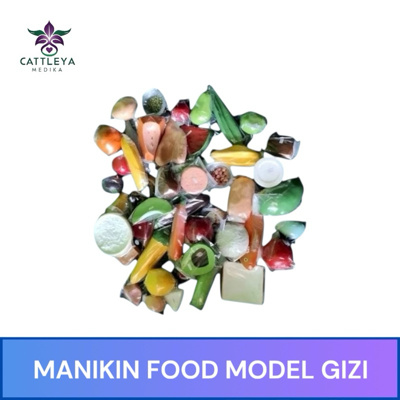 Phantom Manikin Food Makanan Model Gizi Isi 51Pcs / Manekin Alat Peraga Food Model Gizi Isi 51Pcs