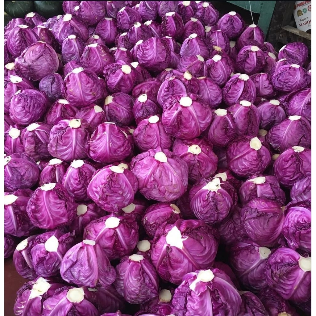 

Kol ungu import