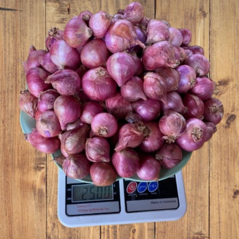 

bawang merah kualitas terbaik bawang kering haraga/2500gram cocok untuk bumbu masak lainya